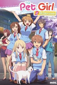 دانلود انیمه دختر اهلی ساکوراسو The Pet Girl of Sakurasou